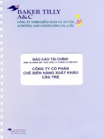 công ty cổ phần chế biến hàng xuất khẩu cầu tre báo cáo tài chính năm tài chính kết thúc 31 tháng 12 năm 2010