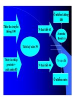 Thức ăn bổ sung cho vật nuôi : Khái niệm và phân loại thức ăn bổ sung part 3 ppsx