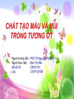 CHẤT TẠO MÀU VÀ MÙI TRONG TƯƠNG ỚT pptx
