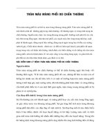 TRÀN MÁU MÀNG PHỔI DO CHẤN THƯƠNG docx