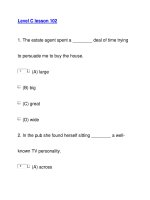 Level C lesson 102 doc