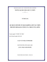 Dự đoán epitope tế bào b không liên tục trên protein hemagglutinin của virus cúm a h5n1