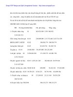 Công tác kế tóan tại Cty Phát triển Bưu điện trong thời kì cổ phần hóa - 4 pot