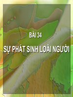 sinh 12 cơ bản sự phát sinh loài người