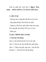 Giáo án nghề làm vườn lớp- 12 - Bài 5: Thực hành: NHÂN GIỐNG CÂY BẰNG GIEO HẠT ppt