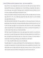 Đầu tư phát triển ngành chè Việt Nam - Thực trạng và giải pháp - 9 pot