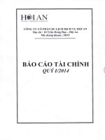 công ty cổ phần du lịch dịch vụ hội an báo cáo tài chính quý 1 năm 2014