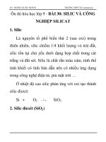 Ôn thi hóa học lớp 9 - BÀI 30: SILIC VÀ CÔNG NGHIỆP SILICAT pps