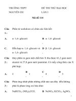 ĐỀ THI THỬ ĐẠI HỌC LẦN I Mã đề 114 TRƯỜNG THPT NGUYỄN DU pdf