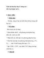 Giáo án hóa học lớp 11 nâng cao - ÔN TẬP HỌC KỲ I pot