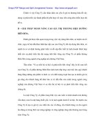 Giải pháp nâng cao giá trị thương hiệu đường Biên Hòa - 8 pps