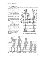 Giáo trình Vẽ Mỹ Thuật : VẼ BÚT SẮT part 5 pot