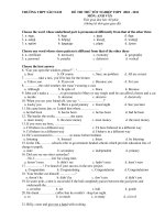 ĐỀ THI THỬ TỐT NGHIỆP THPT 2010 - 2011 MÔN: ANH VĂN ppsx