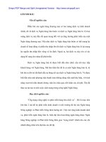 Giải pháp truyền thông cho thẻ Success của Ngân hàng No&PTNT Đà Nẵng - 1 doc