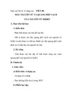 Giáo án Vật lý 12 nâng cao - TIẾT 80: MẪU NGUYÊN TỬ VÀ QUANG PHỔ VẠCH CỦA NGUYÊN TỬ HIĐRÔ pps