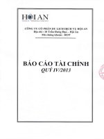 công ty cổ phần du lịch dịch vụ hội an báo cáo tài chính quý 4 năm 2013