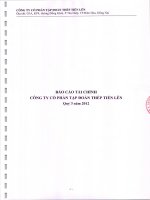 Công ty cổ phần tập đoàn thép tiến lên báo cáo tài chính quý 3 năm 2013