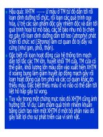 Bài giảng bệnh lý học thú y : Rối loạn tuần hoàn cục bộ part 3 doc