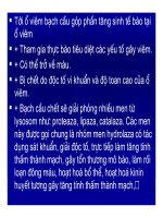 Bài giảng bệnh lý học thú y : Viêm - inflammatio part 4 pdf
