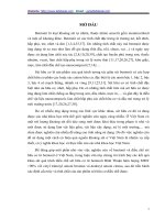 phương pháp điều chế sét hữu cơ