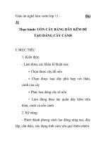 Giáo án nghề làm vườn lớp 11- Bài Thực hành: UỐN CÂY BẰNG DÂY KẼM ĐỂ TẠO DÁNG CÂY CẢNH pdf