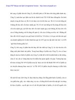 Công tác kế tóan tại Cty Phát triển Bưu điện trong thời kì cổ phần hóa - 6 pot