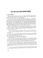 UNG THƯ VÙNG KHOANG MIỆNG docx