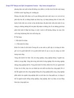 Giới trẻ góp vốn trí thức tìm hướng đi cho nền kinh tế - 2 ppt