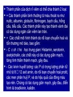 Bài giảng bệnh lý học thú y : Viêm - inflammatio part 8 pptx