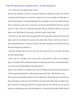 Đầu tư phát triển ngành chè Việt Nam - Thực trạng và giải pháp - 5 pps