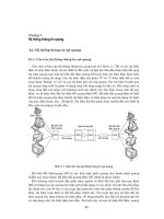 Mạng máy tính - Chương 3 ppsx