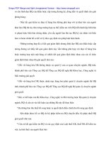 Thực hiện công tác thông quan hạt nhựa nhập khẩu tại Cty CP công nghệ phẩm Đà Nẵng - 4 pptx