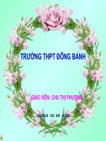 bài 43 trao đổi vật chất trong hệ sinh thái