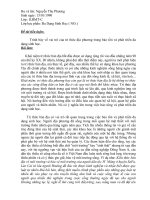 Đề tài tiểu luận 