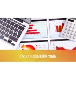 BÁO cáo của KIỂM TOÁN CÔNG TY cổ PHẦN DỊCH vụ CÔNG NGHỆ TIN học HPT báo cáo của BAN TỔNG GIÁM đốc năm tài chính kết thúc ngày 31 tháng 12 năm 2013