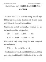 Ôn thi hóa học lớp 9 - BÀI 28: CÁC OXIT CỦA CACBON pdf