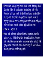 Bài giảng bệnh lý học thú y : Sốt ( Febris ) part 3 pps