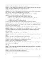 Giáo trình hướng dẫn phân tích ứng dụng phương thức gán đối tượng cho một giao diện đối lập trừu tượng p8 pptx