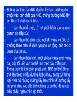 Bài giảng bệnh lý học thú y : Khái niệm cơ bản part 8 docx