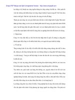 Khả năng hiện thực của kinh tế Việt Nam khi hội nhập - 2 pot