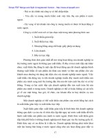 Ứng dụng Marketing để tăng hiệu quả Hoạt động xuất nhập khẩu tại Cty Xuất nhập khẩu Hà Tây - 3 pptx