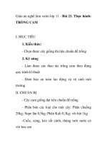 Giáo án nghề làm vườn lớp 11 - Bài 21. Thực hành: TRỒNG CAM pptx
