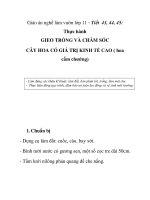 Giáo án nghề làm vườn lớp 11 - Tiết 43, 44, 45: Thực hành GIEO TRỒNG VÀ CHĂM SÓC CÂY HOA CÓ GIÁ TRỊ KINH TẾ CAO ( hoa cẩm chướng) pot