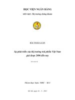 Tiểu luận: Thị trường trái phiếu Việt Nam pptx