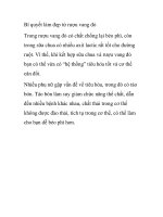 Bí quyết làm đẹp từ rượu vang đỏ pdf