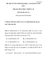 ĐỀ THI THỬ TUYỂN SINH ĐẠI HỌC, CAO ĐẲNG NĂM 2011 Môn thi: HOÁ HỌC Thi thử lần thứ 13 docx