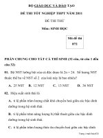 ĐỀ THI THỬ TỐT NGHIỆP THPT NĂM 2011 Môn: SINH HỌC Mã đề thi 872 BỘ GIÁO DỤC VÀ ĐÀO TẠO pot