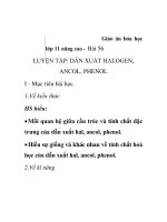Giáo án hóa học lớp 11 nâng cao - Bài 56 LUYỆN TẬP: DẪN XUẤT HALOGEN, ANCOL, PHENOL ppsx