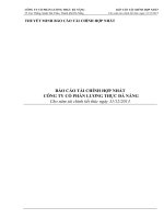 BÁO cáo tài CHÍNH hợp NHẤT CÔNG TY cổ PHẦN LƯƠNG THỰC đà NẴNG cho năm tài chính kết thúc ngày 31 tháng 12 năm 2013