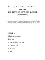 Giáo án nghề làm vườn lớp 11 - Tiết:61, 62, 63: Thực hành GIEO TRỒNG VÀ CHĂM SÓC RAU SẠCH (cây mướp đắng) ppsx